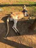 190720_153647